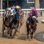 Noel’s Weekend Winners: Focus on Stakes Sprinters at Saratoga